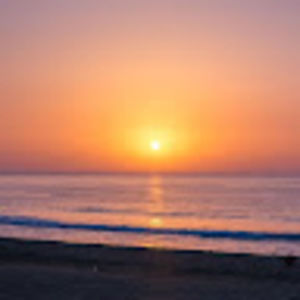 Meet your Posher, Bonnie